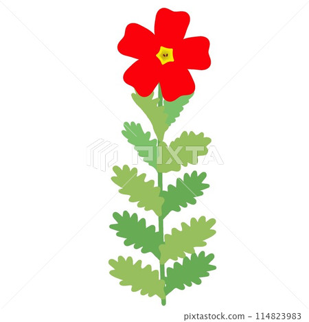 Illustration of San Britannia Scarlet 114823983