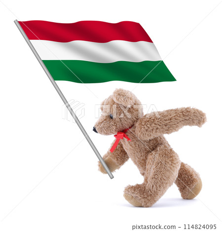 Hungary flag being carried by a cute teddy bear 114824095