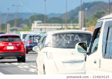 旅遊景點塞車圖片 114824125