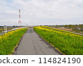 春日部市昭和排水泵站附近的江戶川 114824190