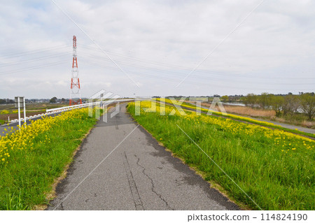 Edogawa River near Showa Drainage Pumping Station in Kasukabe City 114824190