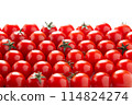 Tomato   114824274