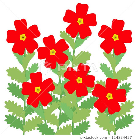 Illustration of San Britannia Scarlet 114824437