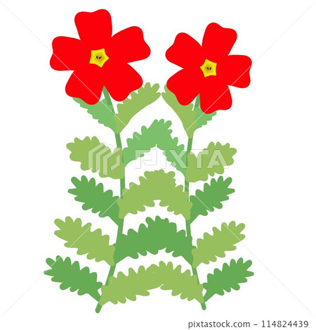 Illustration of San Britannia Scarlet 114824439