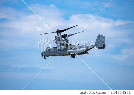Flying Osprey 114824531