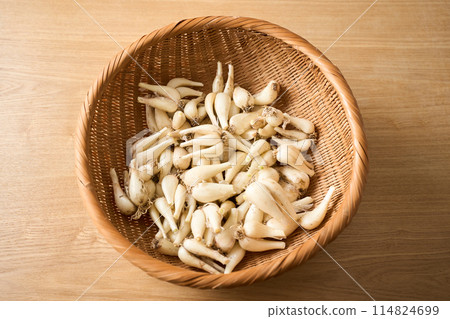 1kg of takkyo (from Kagoshima Prefecture) served in a colander 114824699