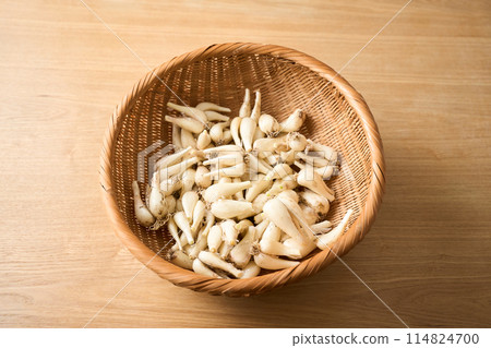 1kg of takkyo (from Kagoshima Prefecture) served in a colander 1kg of takkyo (from Kagoshima Prefecture) served in a colander 114824700