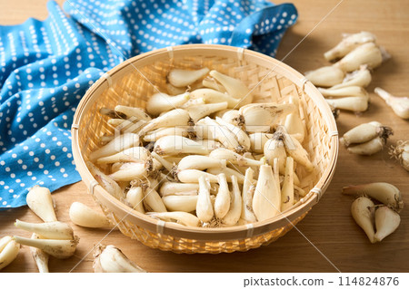 Rakkyo (from Kagoshima Prefecture) served in a colander 114824876