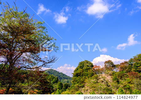 秋葉的宮瀨水壩 114824977