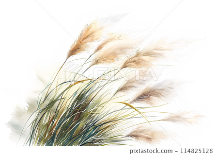 Susuki在風中搖曳 Susuki在風中搖曳 114825128