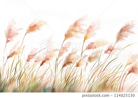 Susuki在風中搖曳 Susuki在風中搖曳 114825130