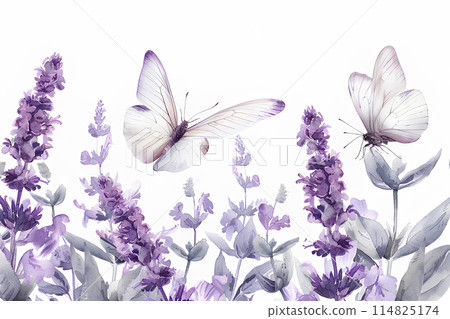 丹參花 丹參花 114825174