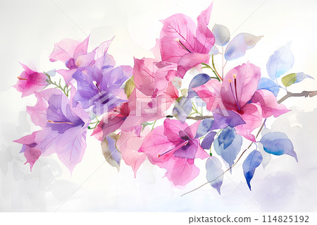 九重葛花 九重葛花 114825192