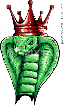 animal cobra head colored vector illustration design animal cobra head colored vector illustration design 114825244