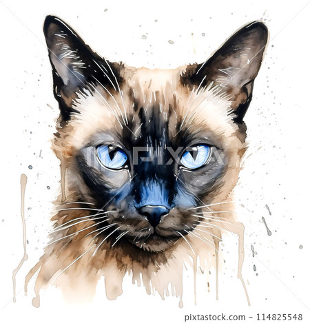 Image of watercolor painting of siamese cat head on a clean background. Pet. Animals. Illustration. Generative AI. 114825548