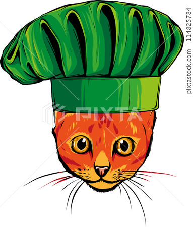 hand draw of cat head vector illustration design 114825784