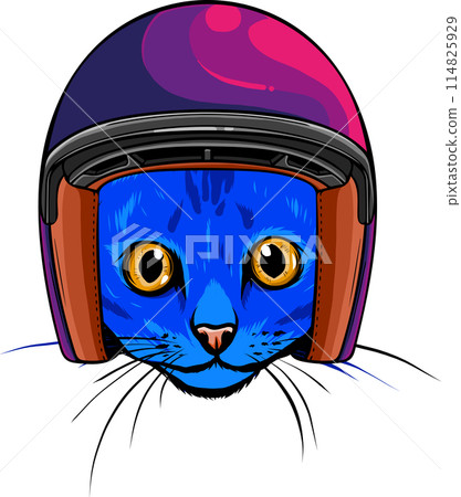 hand draw of cat head vector illustration design hand draw of cat head vector illustration design 114825929