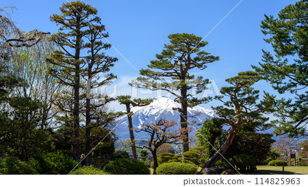 從青森縣藤田紀念庭園眺望岩木山 從青森縣藤田紀念庭園眺望岩木山 114825963