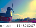 Windmills and tulips 114826287