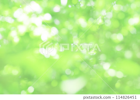 Fresh green blur 114826451