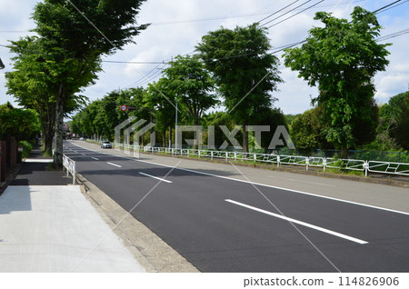 東京近郊、八王子市的道路 東京近郊、八王子市的道路 114826906