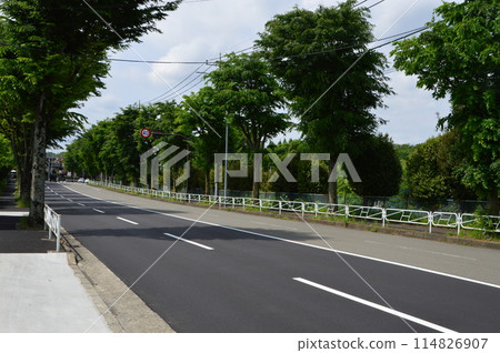 東京近郊、八王子市的道路 114826907
