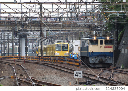[2024.05] EF65型牽引小田急8000型穿越西武鐵道（新秋津武藏野線附近） 114827004