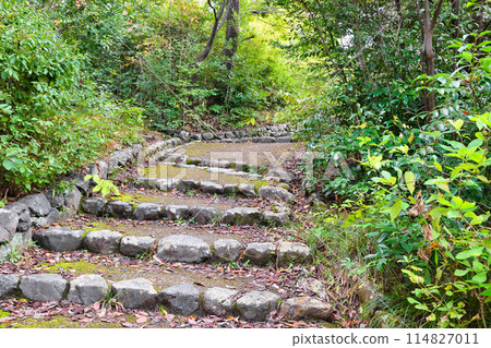 In the mountains of Yoshidayama, Kyoto (Sakyo Ward, Kyoto City) 114827011