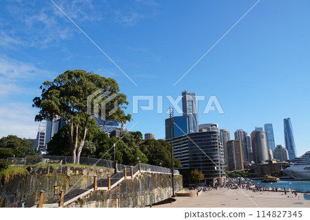 澳洲雪梨城市景觀 114827345