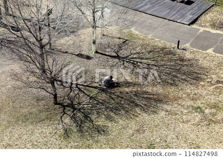 Kiso Sansen Park Flower Park Konan Walking Tour 30 (Konan City, Aichi Prefecture) Kiso Sansen Park Flower Park Konan Walking Tour 30 (Konan City, Aichi Prefecture) 114827498