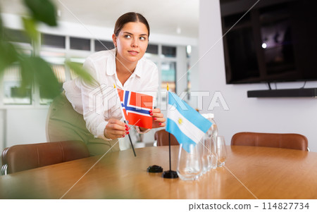 Young lady sets miniatures flags of Argentina and Norway for international negotiations 114827734