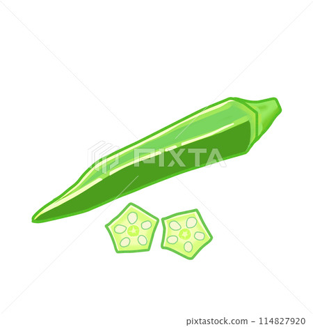 夏季蔬菜-星形截面切秋葵和單一秋葵的插圖 114827920