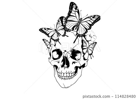 Skull with butterfly hand drawn ink sketch. Engraved style vector illustration. 114828480