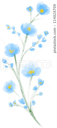 Flower watercolor painting 114828709
