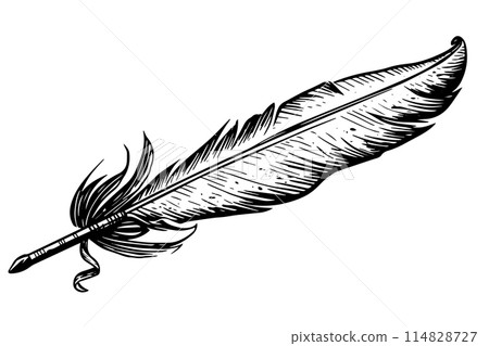 Feather engraved in sketch style isolated on white background. Vintage hand drawn ink sketch. Feather engraved in sketch style isolated on white background. Vintage hand drawn ink sketch. 114828727