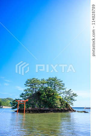 福岡縣宗像市大島、初夏之夢的莊屋島 114828789
