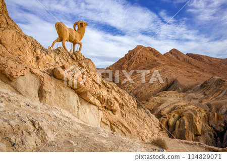 Shebika 114829071