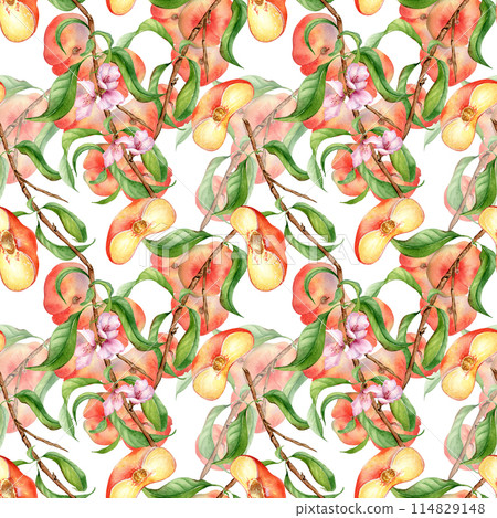 Watercolor branch of peach tree with fruit and flowers seamless pattern isolated on white. Fig peaches and leaves painted. Chines peaches hand drawn. Design element for package, skin care cosmetic 114829148