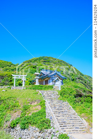 Early summer at Munakata Taisha Shrine, Okitsumiya Worship Site, Oshima, Munakata City, Fukuoka Prefecture 114829204
