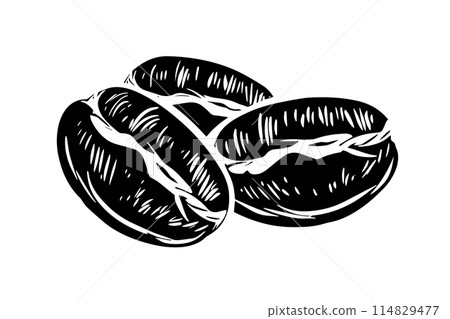 Vintage Hand-drawn Coffee Bean Vector Sketch: A Rich Cafe Icon Logo. 114829477
