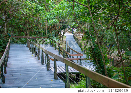 Taroko Valley 114829689