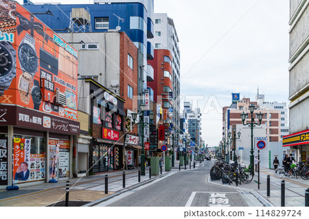Hachioji Station North Exit Shopping District Hachioji Station North Exit Shopping District 114829724