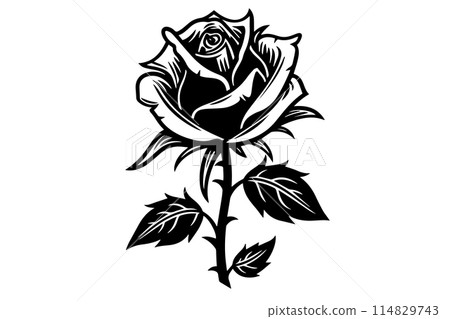 Rose flower hand drawn ink sketch. Engraving style vector illustration. 114829743