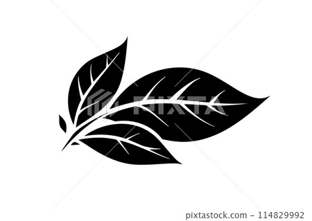 Hand-Drawn Leaf Vector Illustration: Various Tree Leaves Icon Logotype Design. Hand-Drawn Leaf Vector Illustration: Various Tree Leaves Icon Logotype Design. 114829992