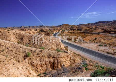 馬特馬他 114830011