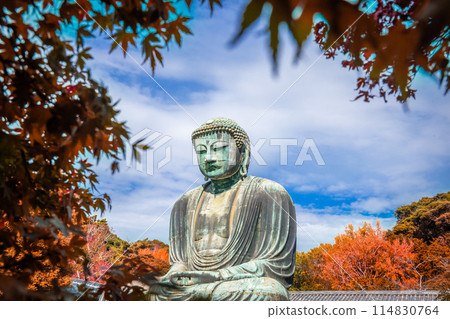 Daibutsu or Great Buddha of Kamakura in Kotokuin Temple at Kanagawa Prefecture Japan with leaves changing color It is an important landmark and a popular destination for tourists and pilgrims. Daibutsu or Great Buddha of Kamakura in Kotokuin Temple at Kanagawa Prefecture Japan with leaves changing color It is an important landmark and a popular destination for tourists and pilgrims. 114830764
