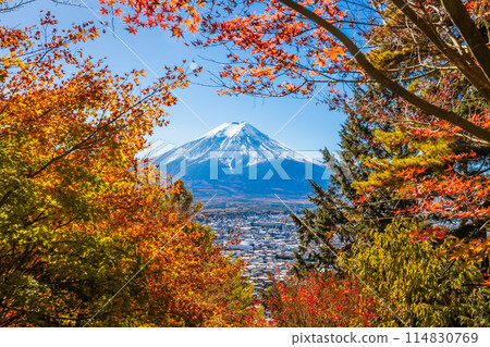 Mount Fuji framed with red orange maple leaves beautifully in autumn. 114830769