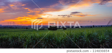 Landscape Panorama of Windmill on a mountain with vast meadows at sunset, beautifully illuminated. 114830854