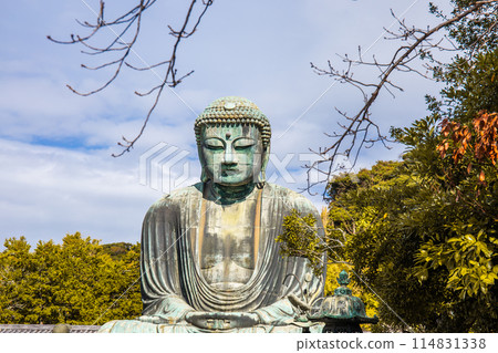 Daibutsu or Great Buddha of Kamakura in Kotokuin Temple at Kanagawa Prefecture Japan with leaves changing color It is an important landmark and a popular destination for tourists and pilgrims. 114831338