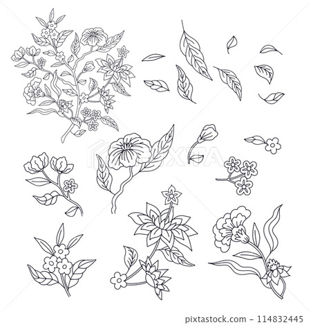 Set of monochrome black and white floral chinoiserie or indian style flowers set isolated on white background Set of monochrome black and white floral chinoiserie or indian style flowers set isolated on white background 114832445